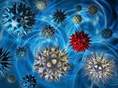 West Nile Virus IgM Capture DxSelect™